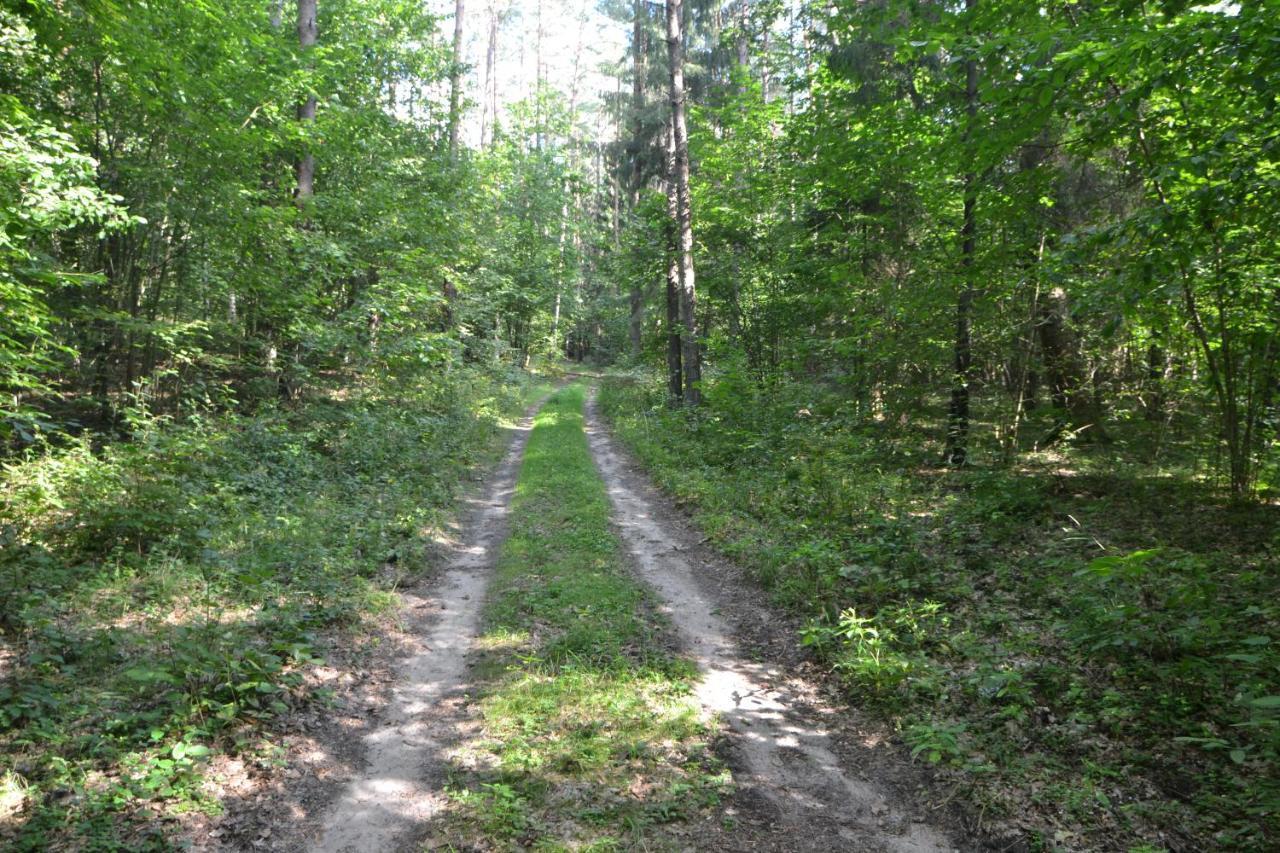 ホテル Osrodek Wypoczynkowo-Turystyczny Perla Krutyni Nowy Most エクステリア 写真